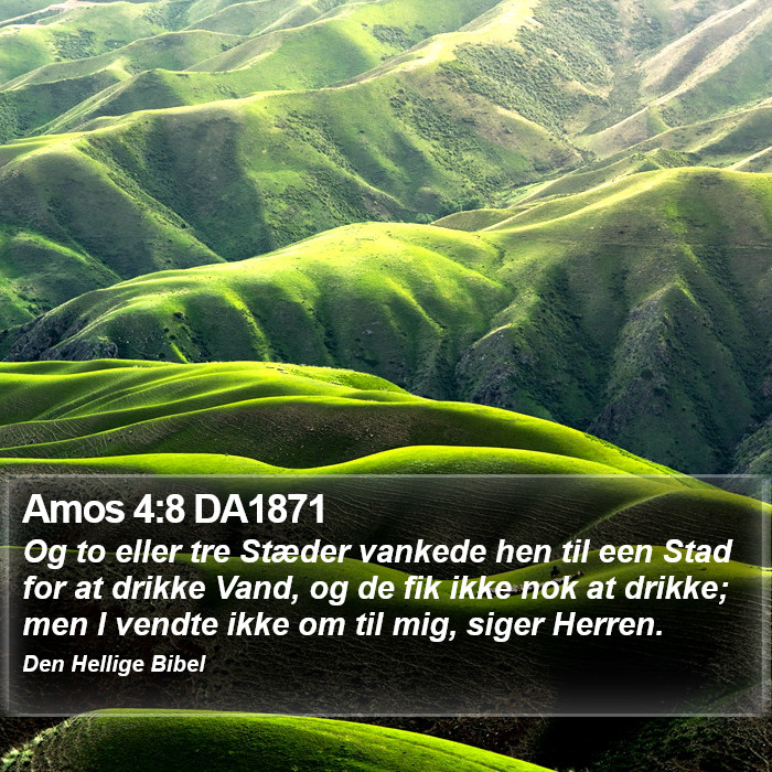 Amos 4:8 DA1871 Bible Study
