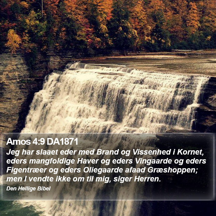 Amos 4:9 DA1871 Bible Study