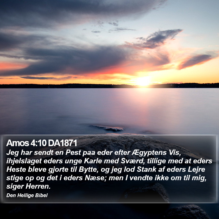 Amos 4:10 DA1871 Bible Study