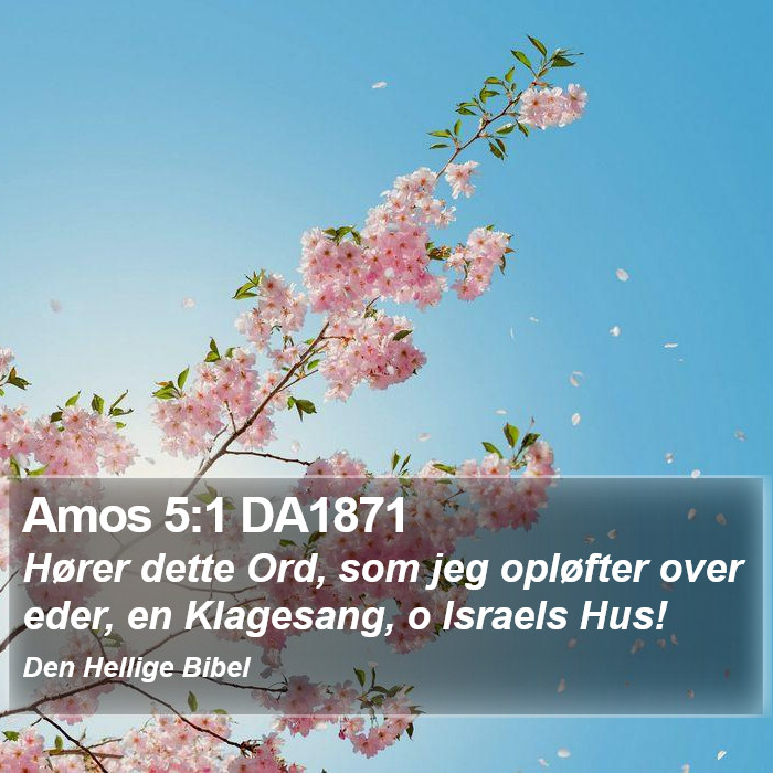 Amos 5:1 DA1871 Bible Study