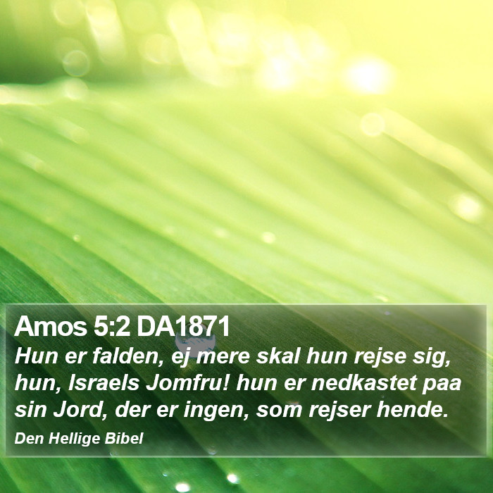 Amos 5:2 DA1871 Bible Study