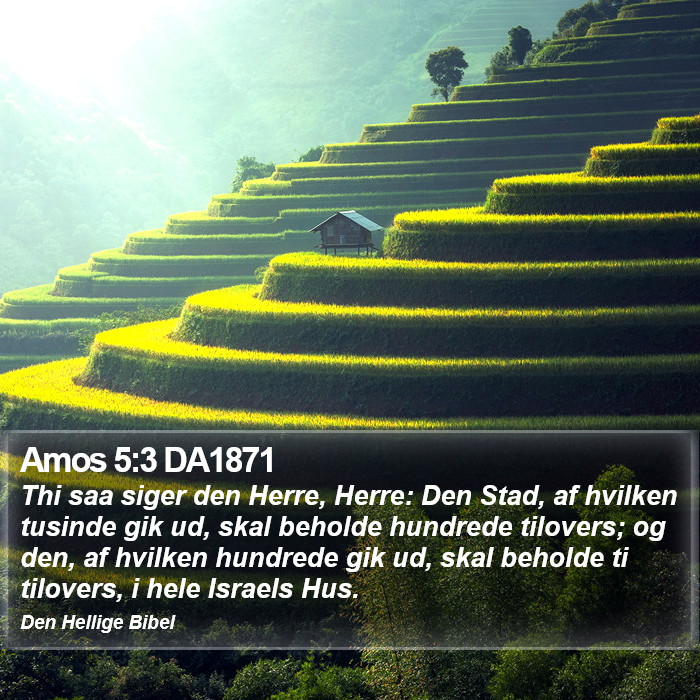 Amos 5:3 DA1871 Bible Study