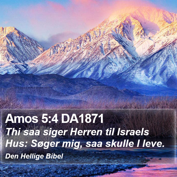 Amos 5:4 DA1871 Bible Study