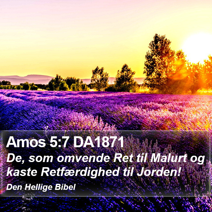 Amos 5:7 DA1871 Bible Study