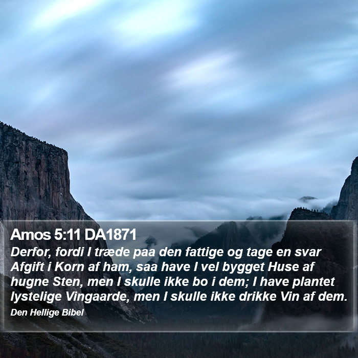 Amos 5:11 DA1871 Bible Study