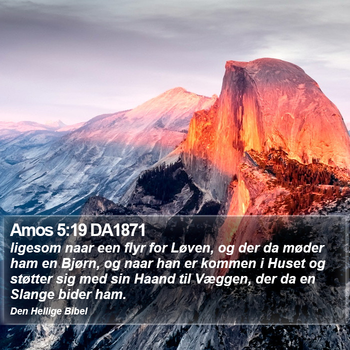 Amos 5:19 DA1871 Bible Study