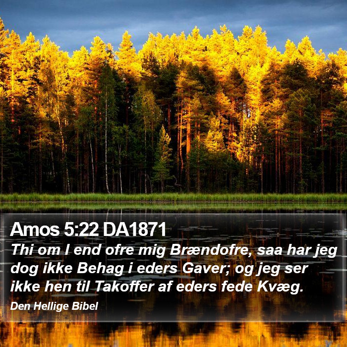 Amos 5:22 DA1871 Bible Study