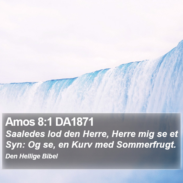 Amos 8:1 DA1871 Bible Study