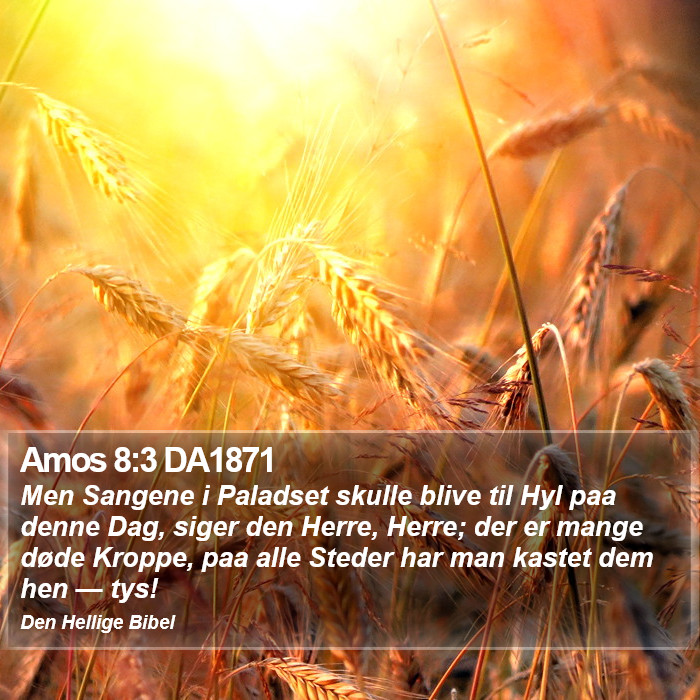 Amos 8:3 DA1871 Bible Study