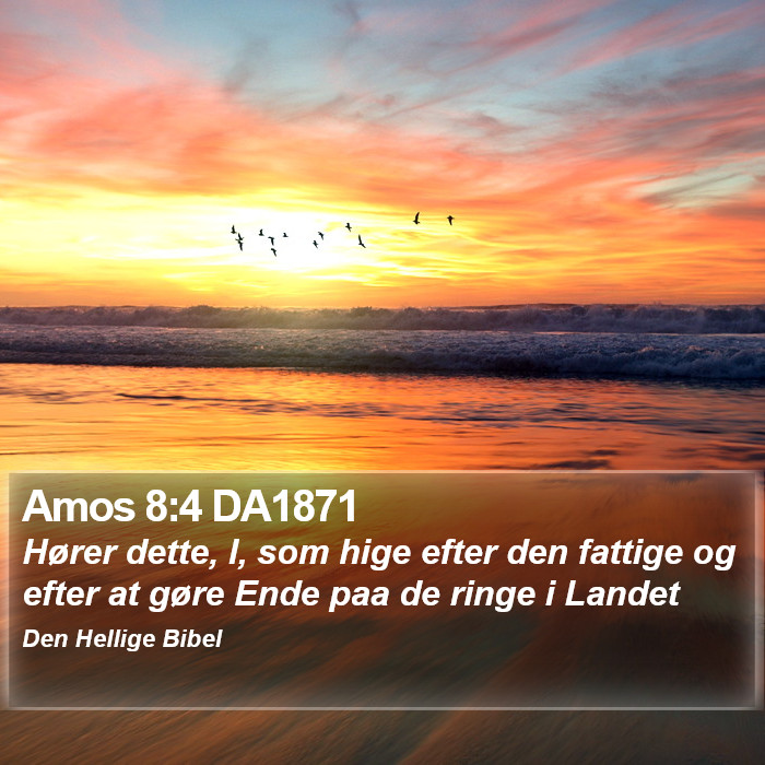 Amos 8:4 DA1871 Bible Study