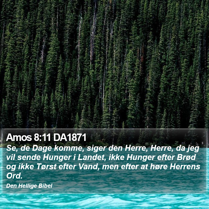 Amos 8:11 DA1871 Bible Study