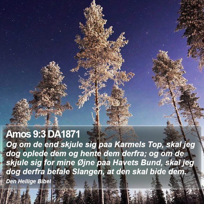 Amos 9:3 DA1871 Bible Study