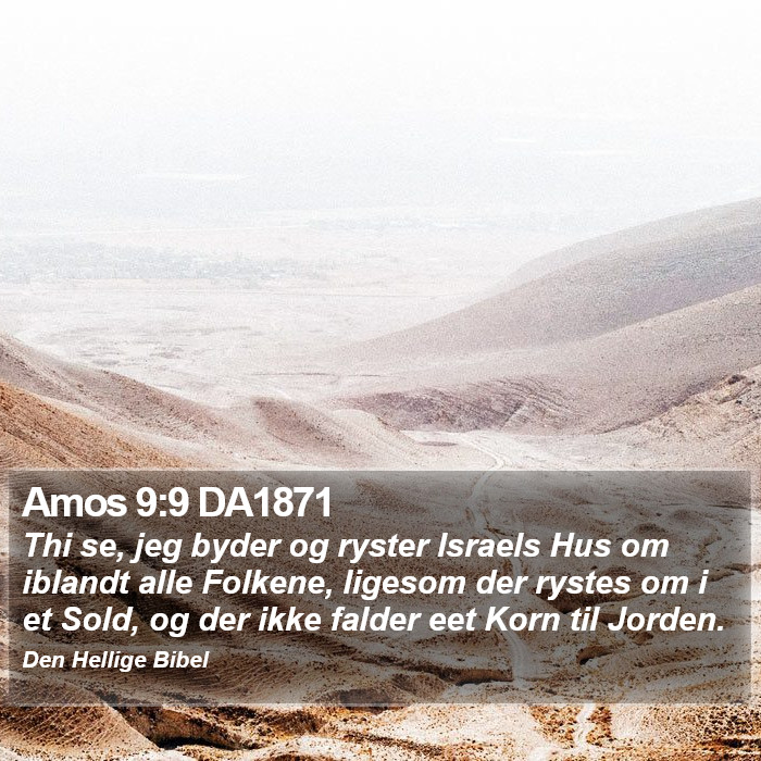 Amos 9:9 DA1871 Bible Study