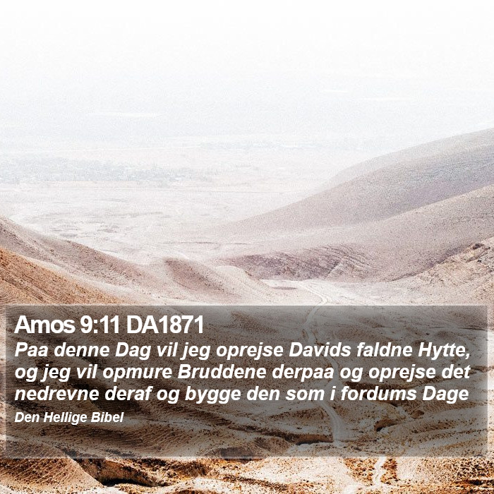 Amos 9:11 DA1871 Bible Study