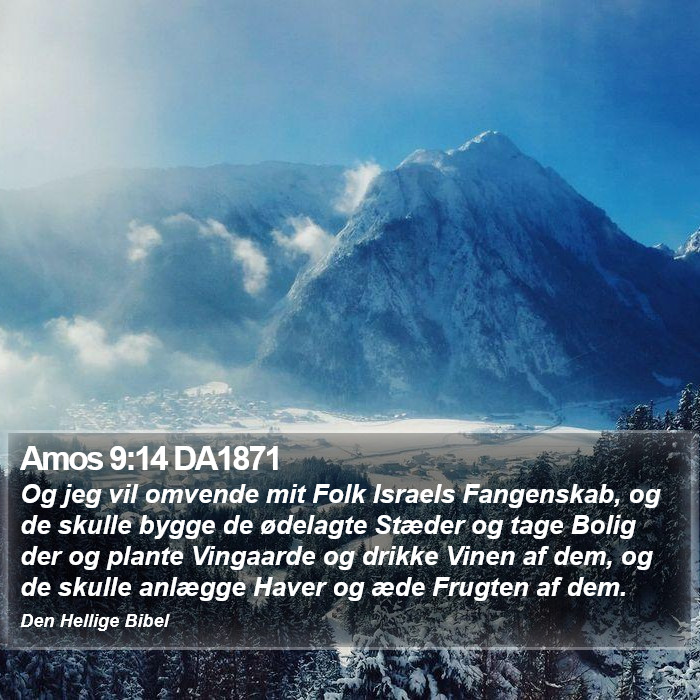 Amos 9:14 DA1871 Bible Study