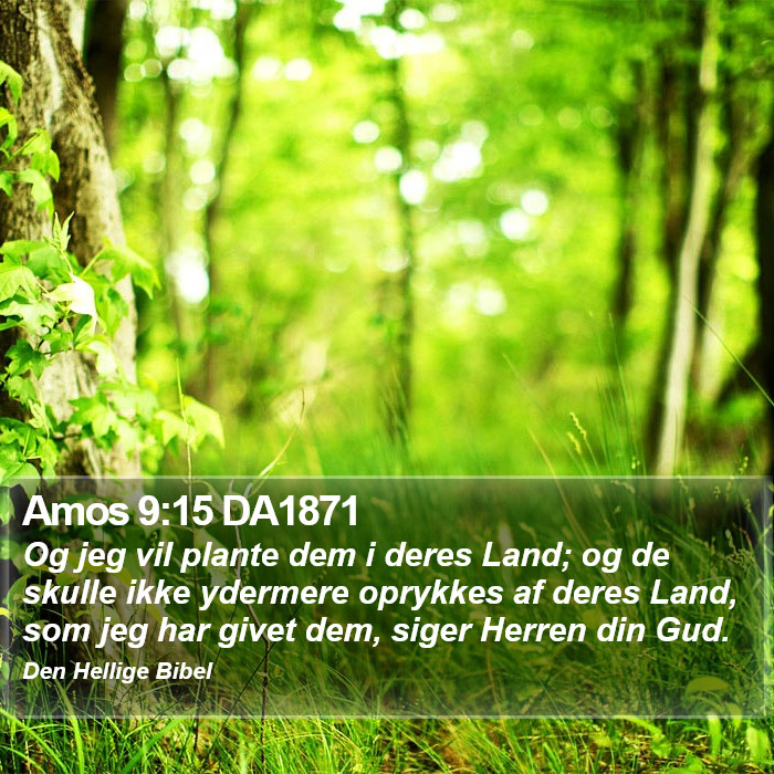 Amos 9:15 DA1871 Bible Study