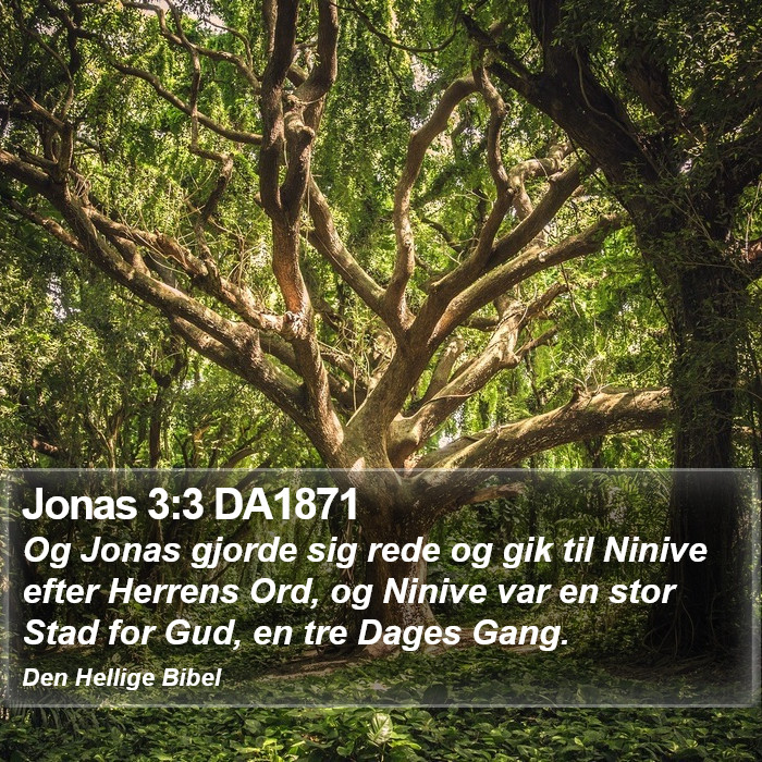 Jonas 3:3 DA1871 Bible Study