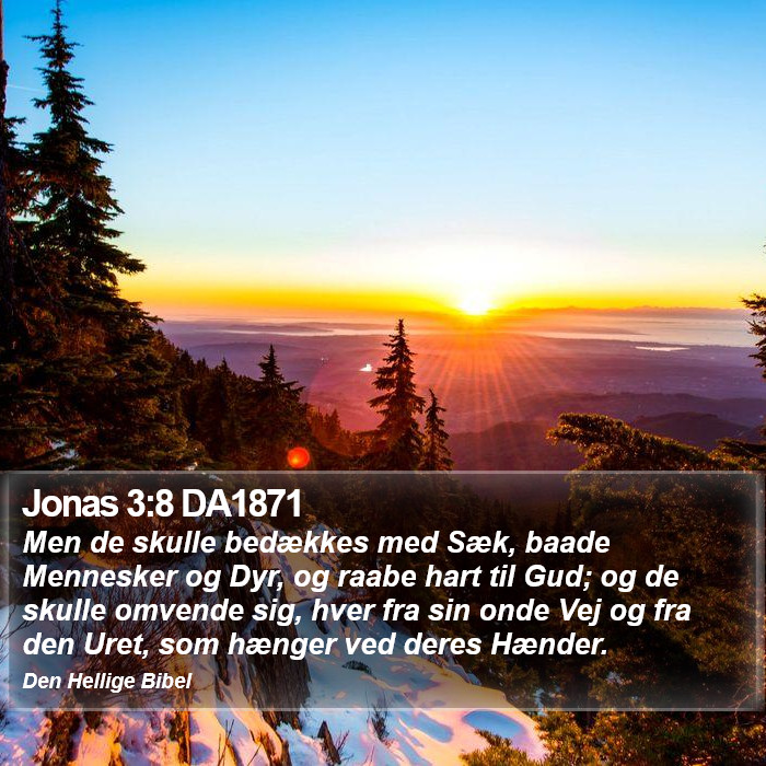 Jonas 3:8 DA1871 Bible Study