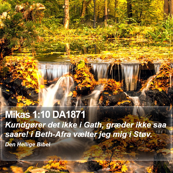 Mikas 1:10 DA1871 Bible Study