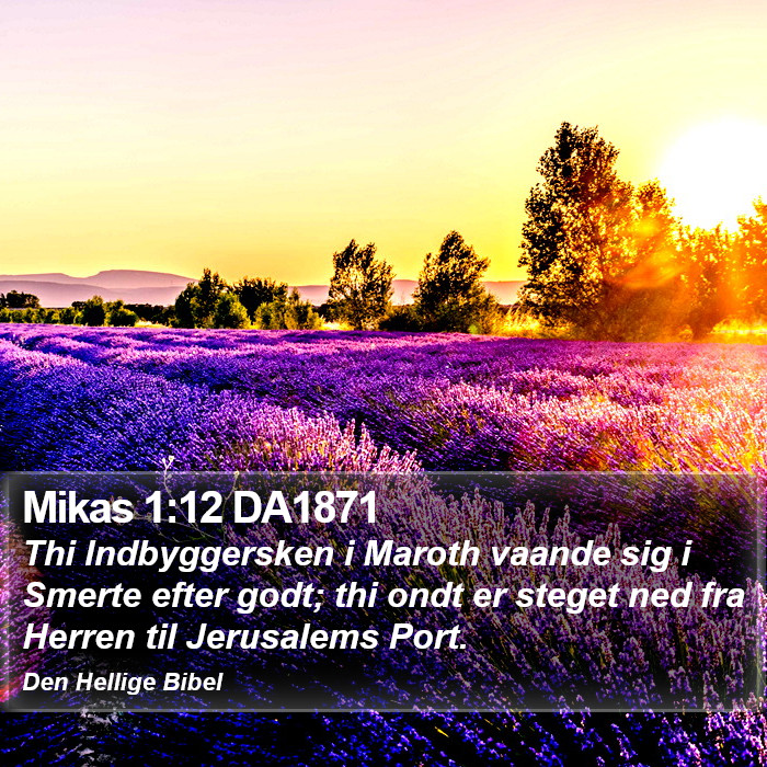 Mikas 1:12 DA1871 Bible Study