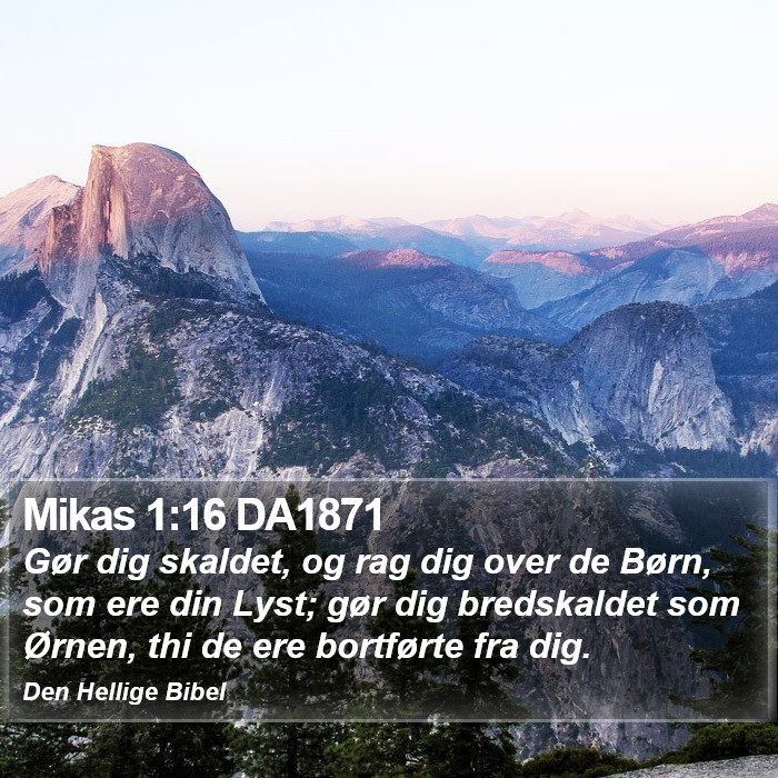 Mikas 1:16 DA1871 Bible Study