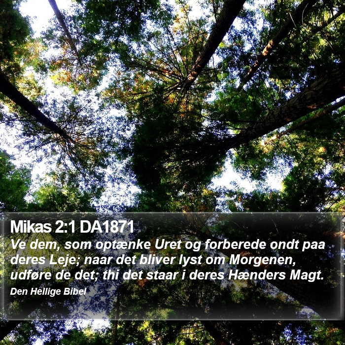 Mikas 2:1 DA1871 Bible Study