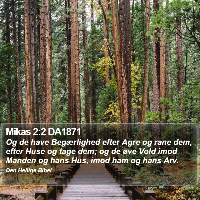 Mikas 2:2 DA1871 Bible Study