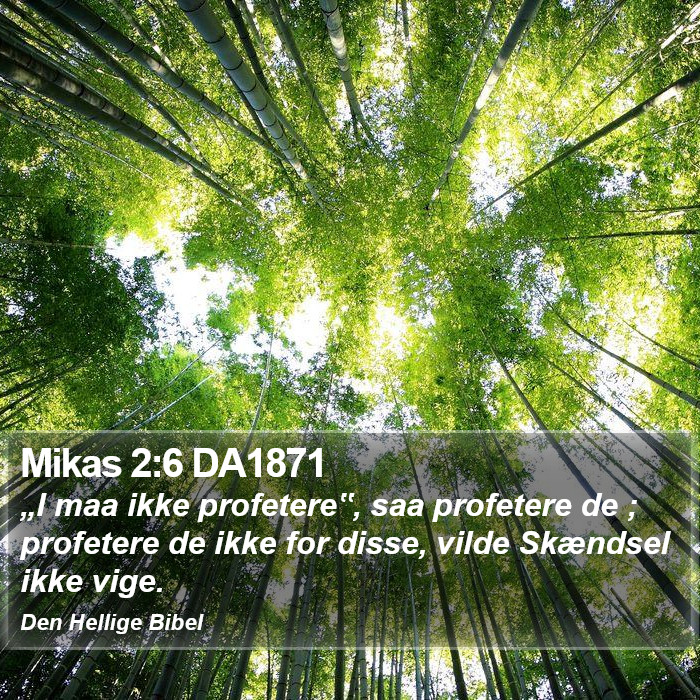 Mikas 2:6 DA1871 Bible Study