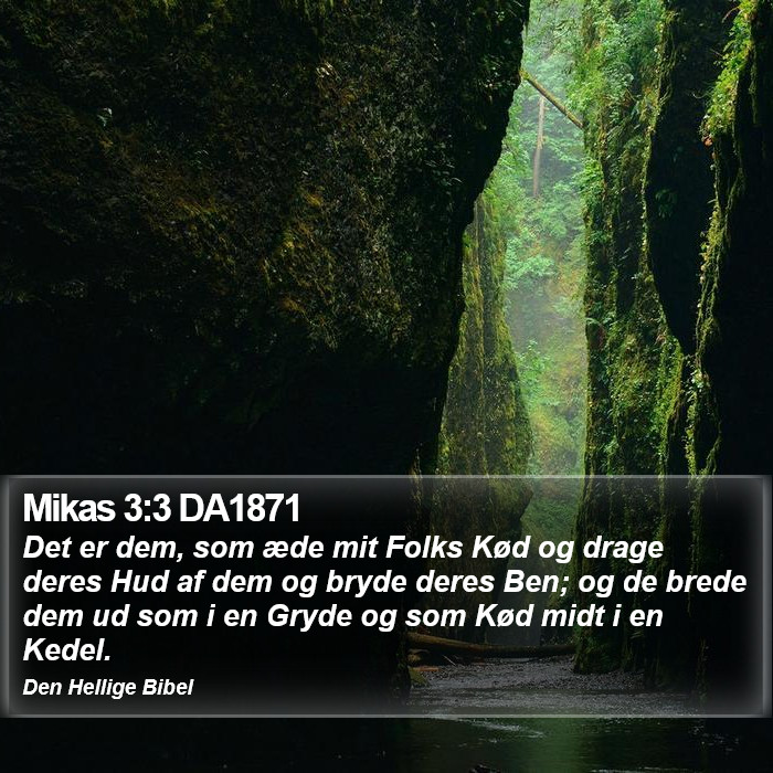 Mikas 3:3 DA1871 Bible Study