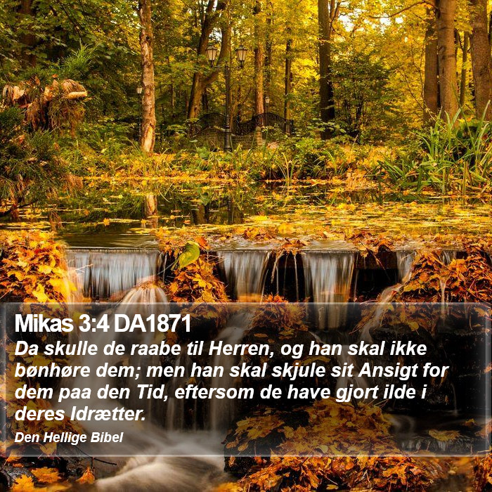 Mikas 3:4 DA1871 Bible Study
