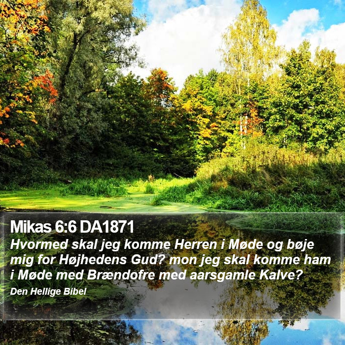 Mikas 6:6 DA1871 Bible Study