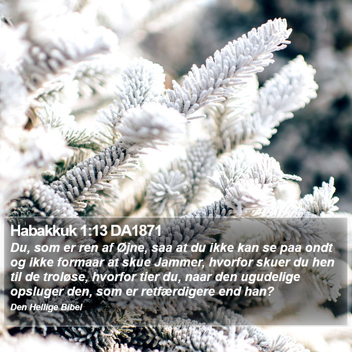 Habakkuk 1:13 DA1871 Bible Study
