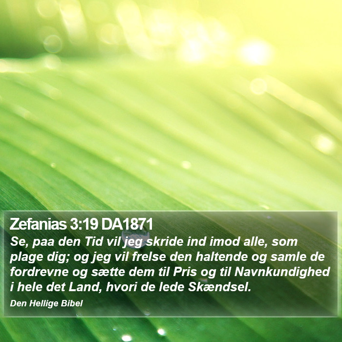 Zefanias 3:19 DA1871 Bible Study