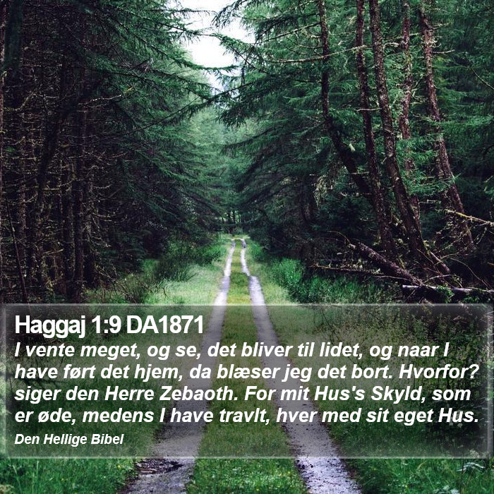 Haggaj 1:9 DA1871 Bible Study