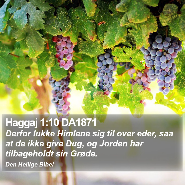 Haggaj 1:10 DA1871 Bible Study