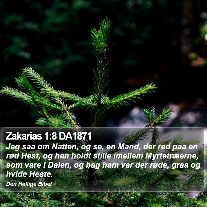 Zakarias 1:8 DA1871 Bible Study