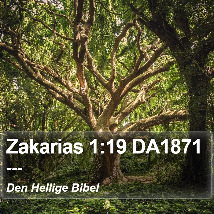 Zakarias 1:19 DA1871 Bible Study