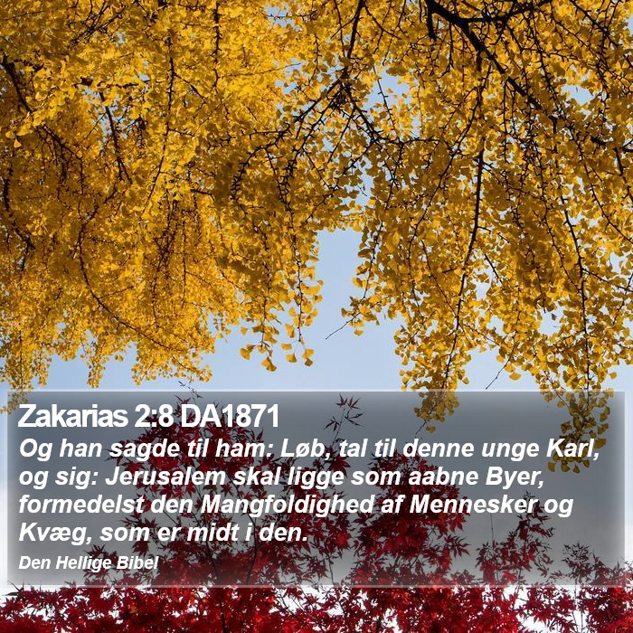 Zakarias 2:8 DA1871 Bible Study