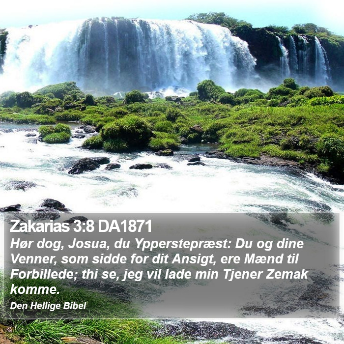 Zakarias 3:8 DA1871 Bible Study