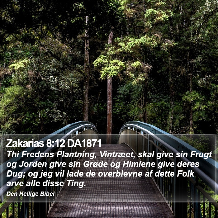 Zakarias 8:12 DA1871 Bible Study