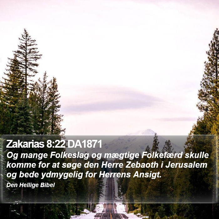 Zakarias 8:22 DA1871 Bible Study