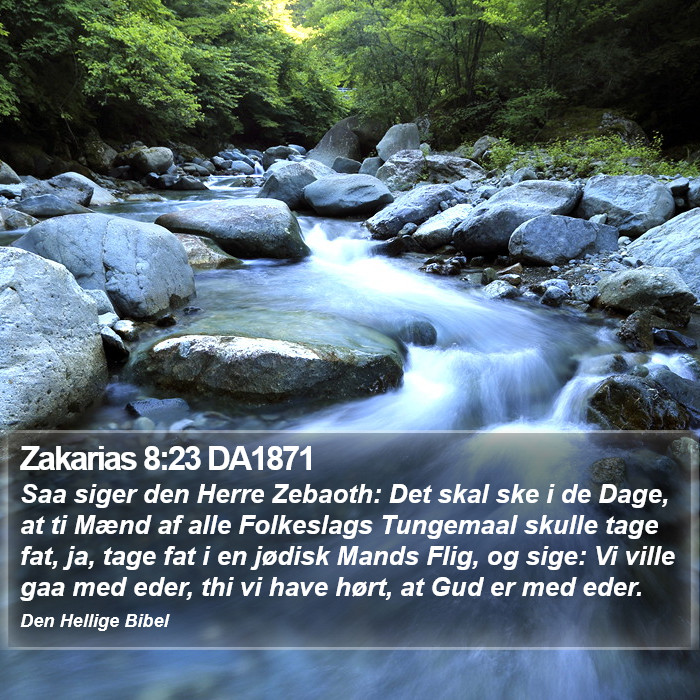 Zakarias 8:23 DA1871 Bible Study