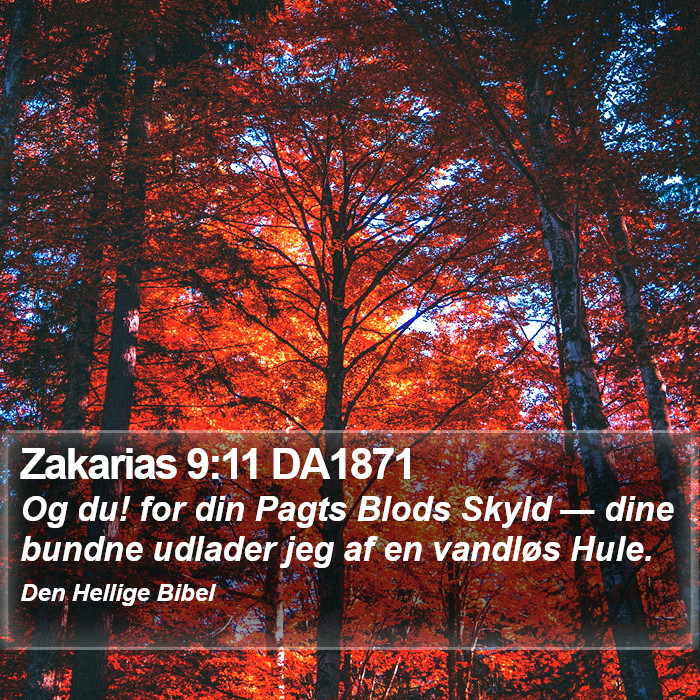 Zakarias 9:11 DA1871 Bible Study
