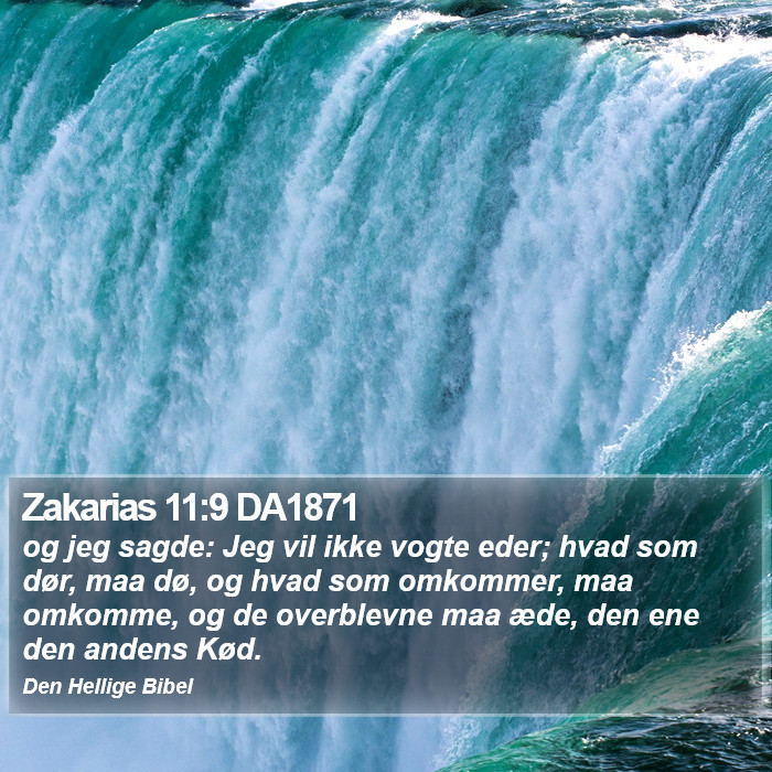 Zakarias 11:9 DA1871 Bible Study