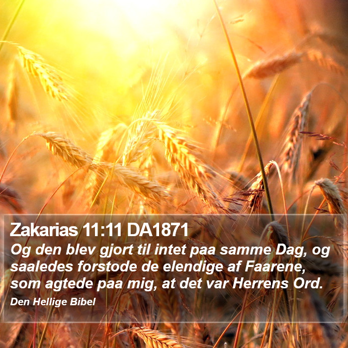 Zakarias 11:11 DA1871 Bible Study