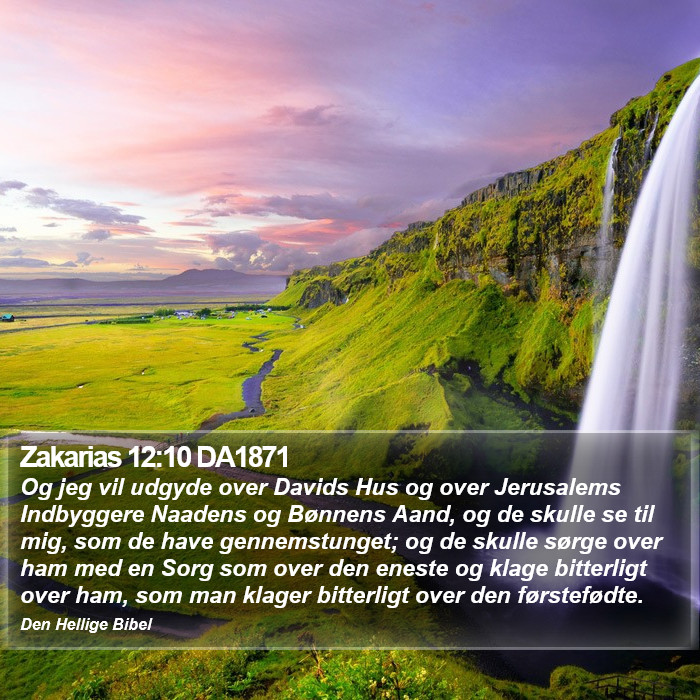 Zakarias 12:10 DA1871 Bible Study