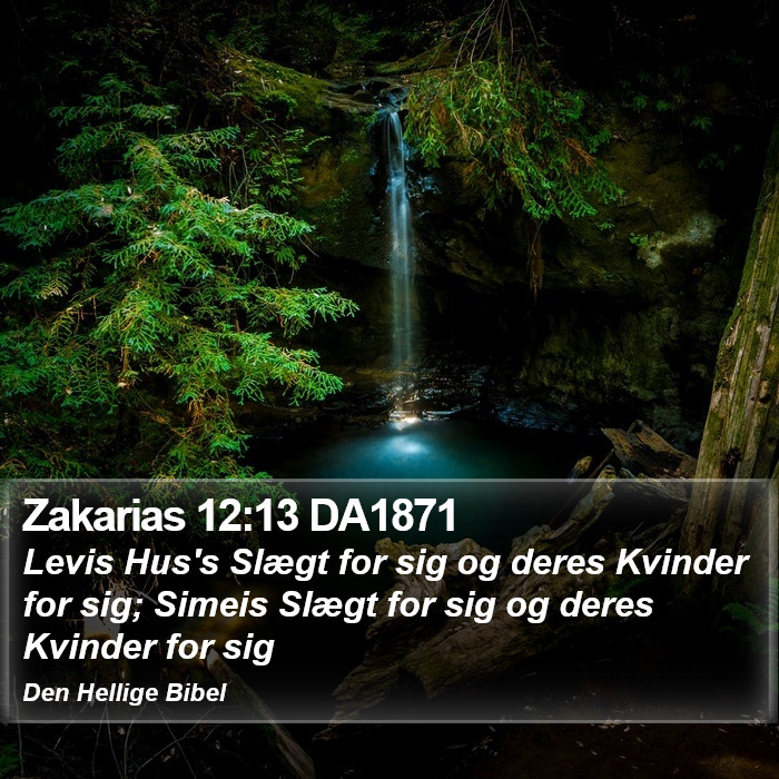 Zakarias 12:13 DA1871 Bible Study