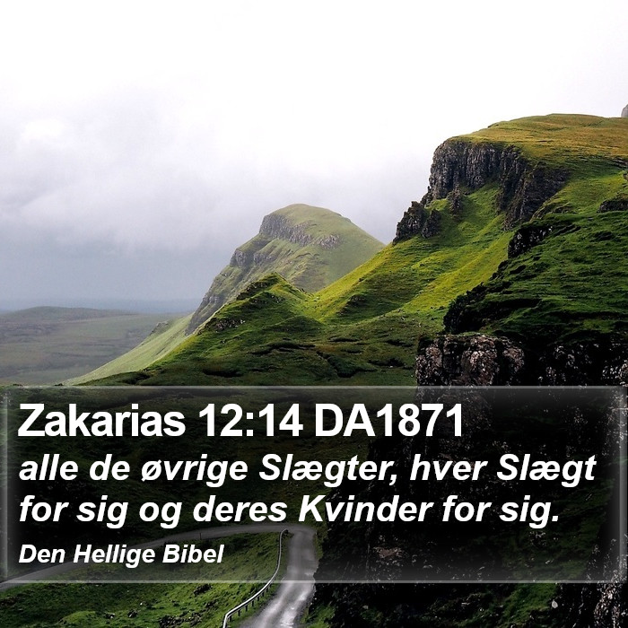 Zakarias 12:14 DA1871 Bible Study