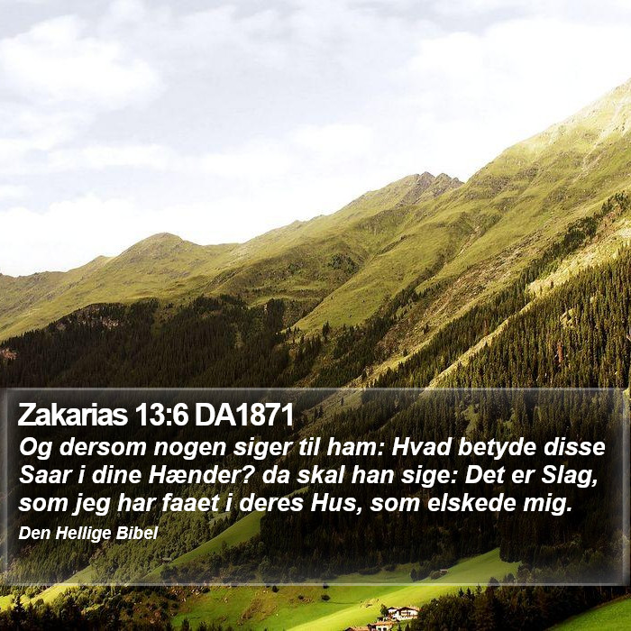 Zakarias 13:6 DA1871 Bible Study