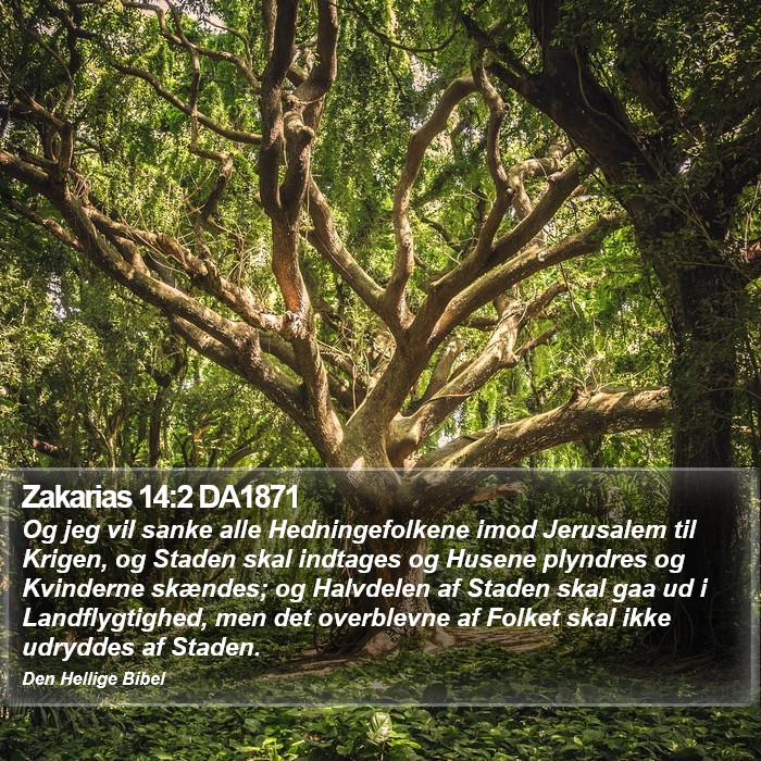 Zakarias 14:2 DA1871 Bible Study